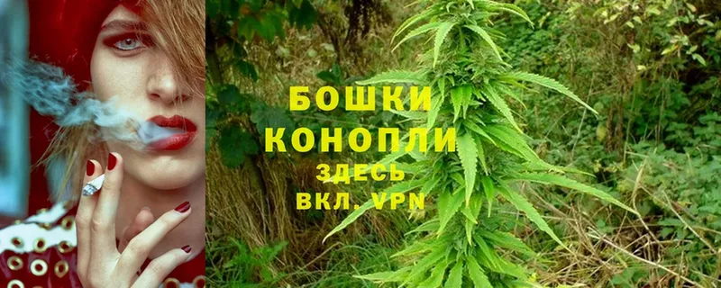 Канабис OG Kush  блэк спрут   Краснокамск 